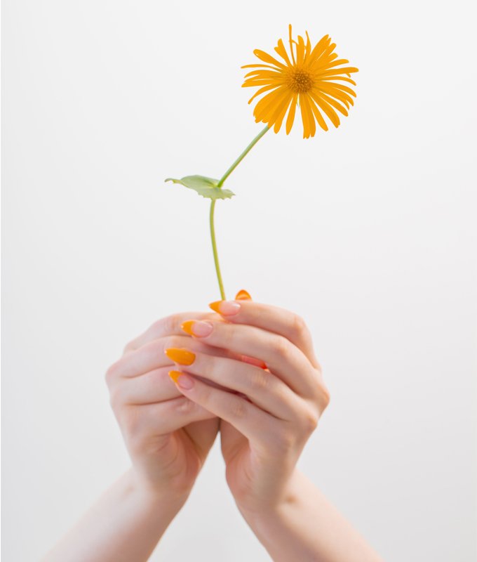 Testimonial Lush Nail Lung Testimonial Lush Nail Lung